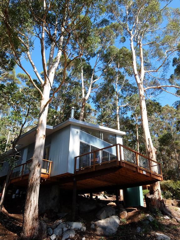 デンマーク The Tree Houseヴィラ エクステリア 写真